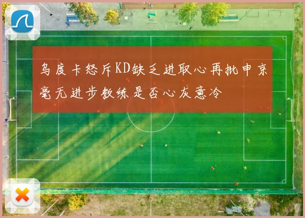 乌度卡怒斥KD缺乏进取心再批申京毫无进步教练是否心灰意冷
